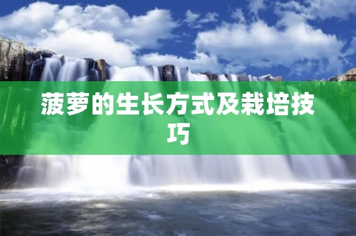 菠萝的生长方式及栽培技巧
