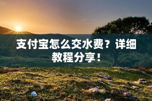 支付宝怎么交水费？详细教程分享！