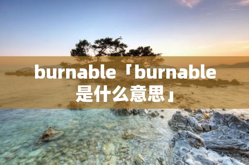 burnable「burnable是什么意思」