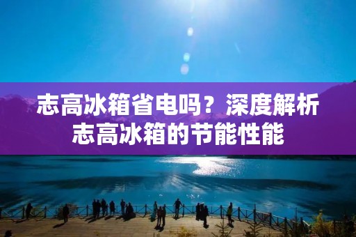 志高冰箱省电吗？深度解析志高冰箱的节能性能