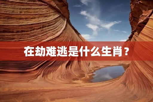 在劫难逃是什么生肖？