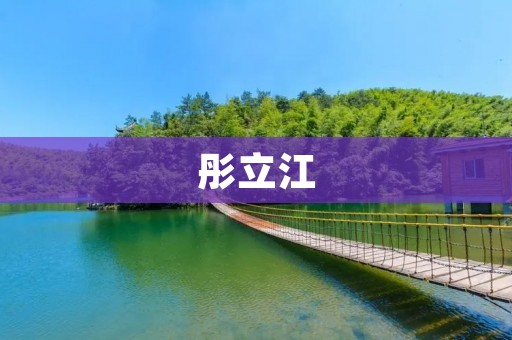 彤立江：一位杰出的中国企业家