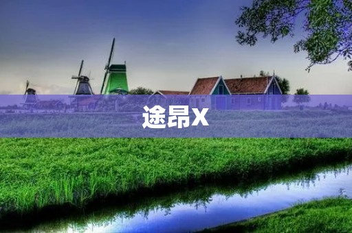 途昂X：开创豪华SUV新纪元