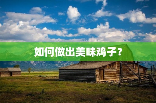 如何做出美味鸡子? 如何做出美味鸡子?