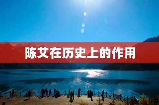 陈艾在历史上的作用