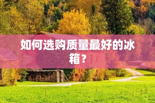 如何选购质量最好的冰箱？