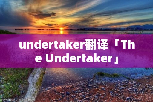 undertaker翻译「The Undertaker」