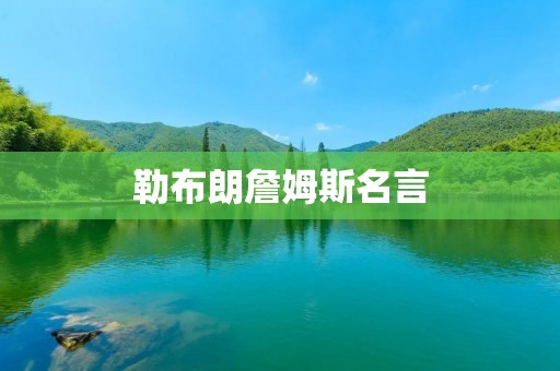 勒布朗詹姆斯名言：成功需要不断努力