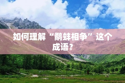 如何理解“鹬蚌相争”这个成语？