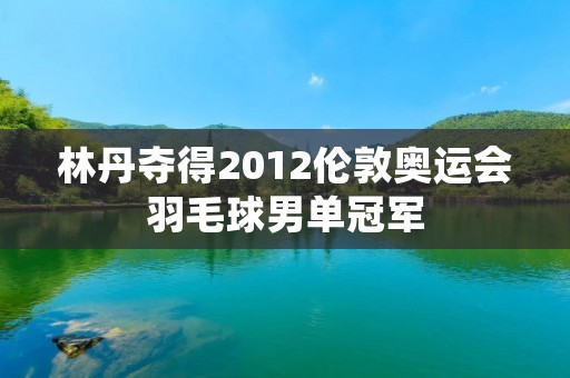 林丹夺得2012伦敦奥运会羽毛球男单冠军 林丹夺得2012伦敦奥运会羽毛球男单冠军