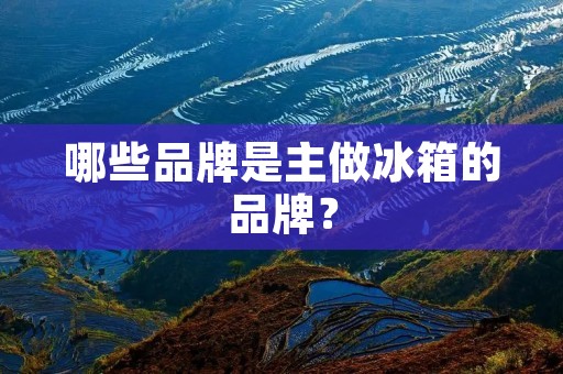 哪些品牌是主做冰箱的品牌？