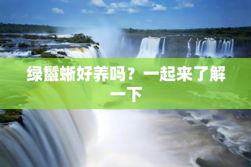 绿鬣蜥好养吗？一起来了解一下
