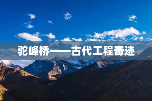 驼峰桥——古代工程奇迹 驼峰桥——古代工程奇迹