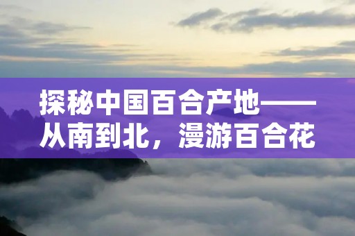 探秘中国百合产地——从南到北，漫游百合花海