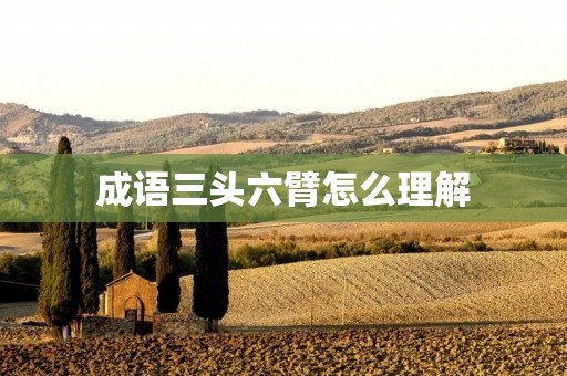 成语三头六臂怎么理解