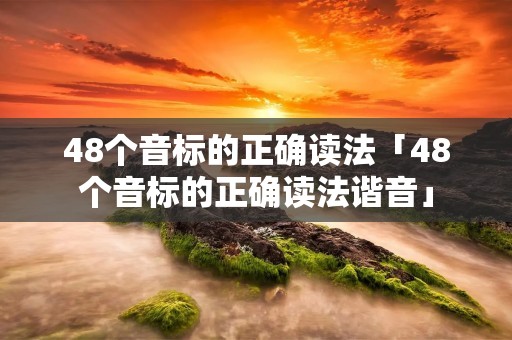 48个音标的正确读法「48个音标的正确读法谐音」 48个音标的正确读法「48个音标的正确读法谐音」