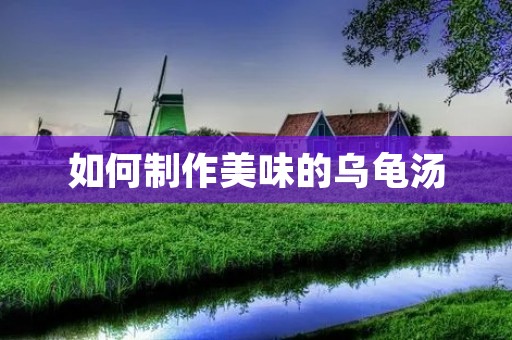 如何制作美味的乌龟汤