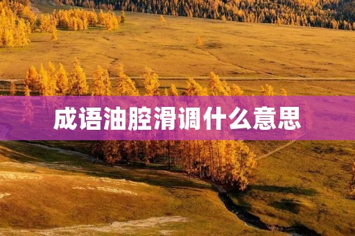 成语油腔滑调什么意思