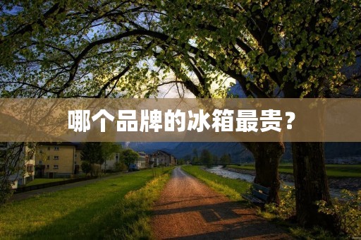哪个品牌的冰箱最贵？