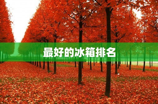 最好的冰箱排名:2021年十大最佳冰箱推荐 最好的冰箱排名:2021年十大最佳冰箱推荐