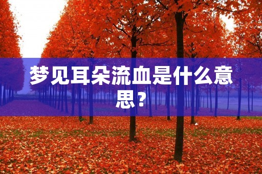 梦见耳朵流血是什么意思？