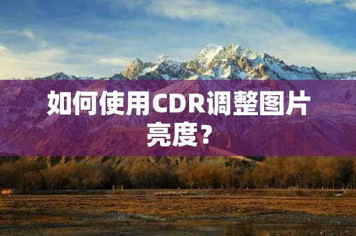 如何使用CDR调整图片亮度? 如何使用CDR调整图片亮度?