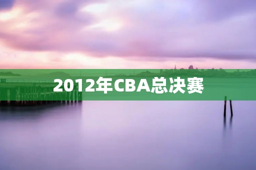 2012年CBA总决赛：广东宏远夺冠