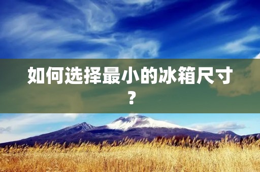 如何选择最小的冰箱尺寸? 如何选择最小的冰箱尺寸?