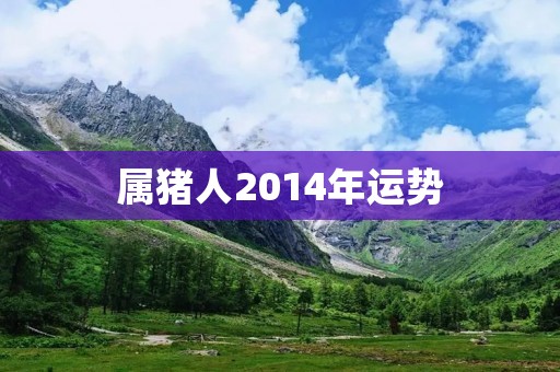 属猪人2014年运势：遇到机遇，顺势而为，财源滚滚！