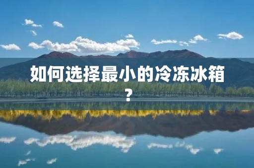 如何选择最小的冷冻冰箱？