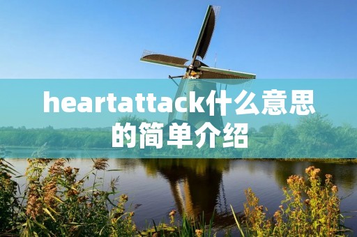 heartattack什么意思的简单介绍