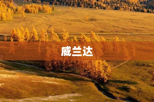威兰达：细节决定品质的SUV之选