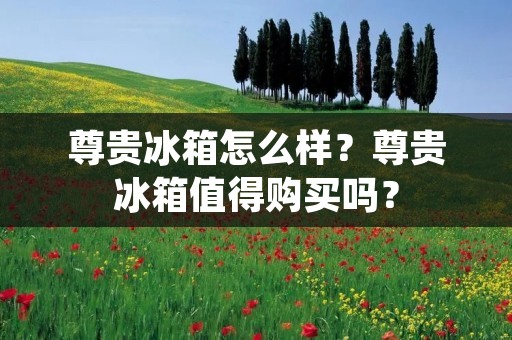 尊贵冰箱怎么样？尊贵冰箱值得购买吗？