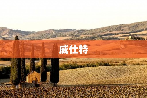 威仕特：让家居生活更加舒适