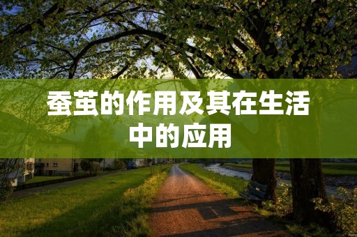 蚕茧的作用及其在生活中的应用