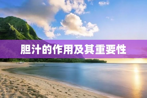 胆汁的作用及其重要性