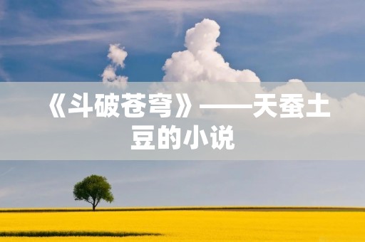 《斗破苍穹》——天蚕土豆的小说