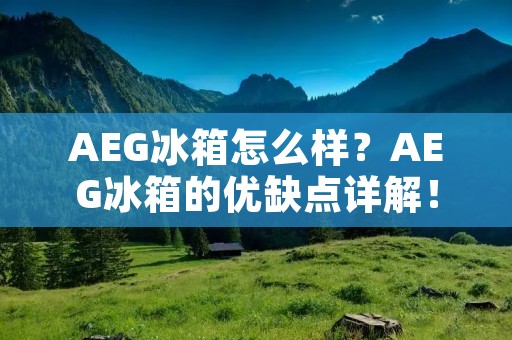 AEG冰箱怎么样?AEG冰箱的优缺点详解! AEG冰箱怎么样?AEG冰箱的优缺点详解!
