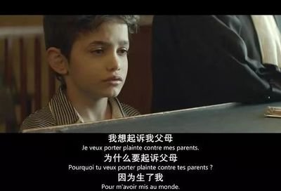 何以为家观后感
