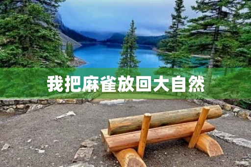 我把麻雀放回大自然