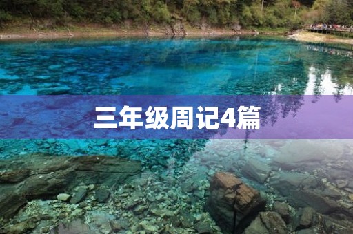 三年级周记4篇