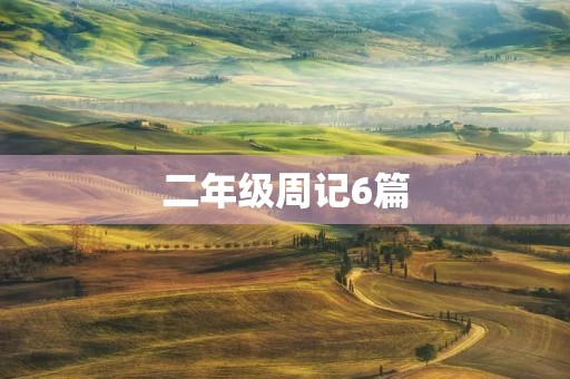 二年级周记6篇