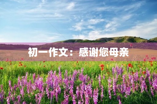 初一作文:感谢您母亲 初一作文:感谢您母亲