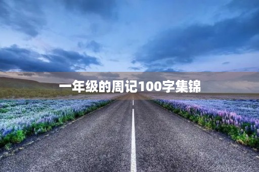 一年级的周记100字集锦 一年级的周记100字集锦