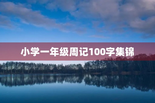 小学一年级周记100字集锦