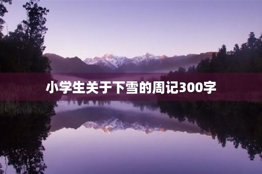 小学生关于下雪的周记300字