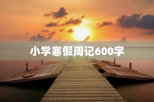 小学寒假周记600字