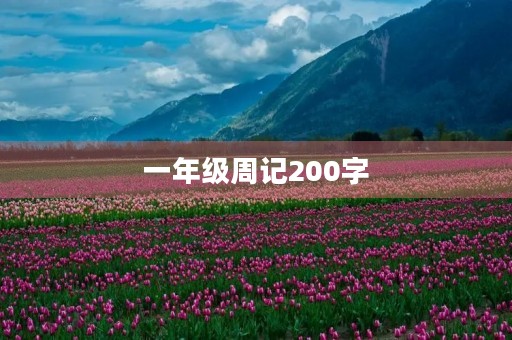 一年级周记200字 一年级周记200字