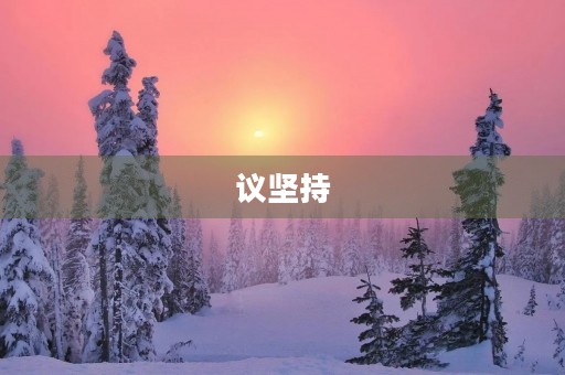 议坚持 议坚持
