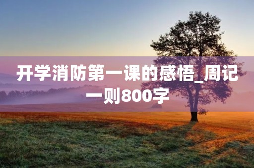 开学消防第一课的感悟_周记一则800字